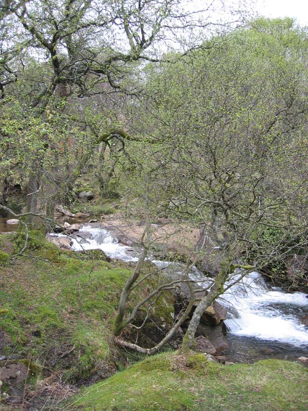 2004-04-26 16.01.31 mer grönska